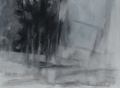Forêt - Paysages, lignes, perspectives