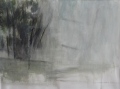 Forêt - Paysages, lignes, perspectives